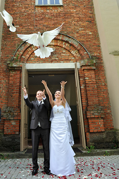 Откуда взялась традиция выпускать голубей на свадьбе