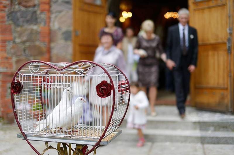 Запуск голубей на свадьбе: за и против