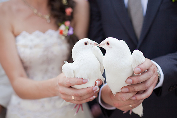Крылатые вестники счастья. Свадебные голуби