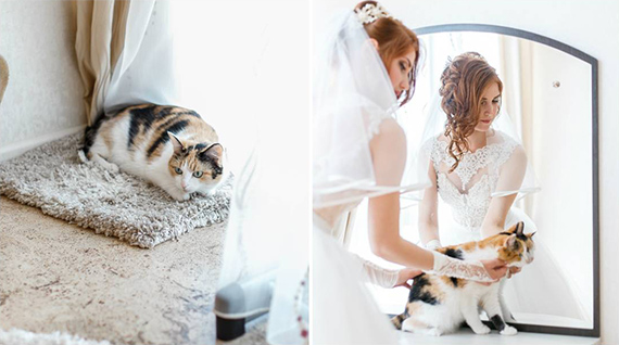 Животные на свадьбе – что нужно учесть